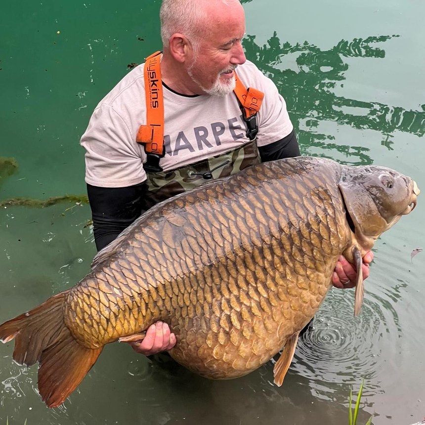 Record carpe commune au lac Parco Del Brenta en Italie