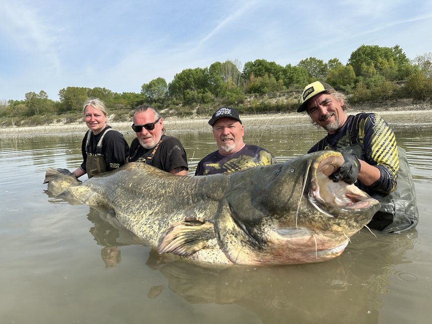 Silure record monde Po