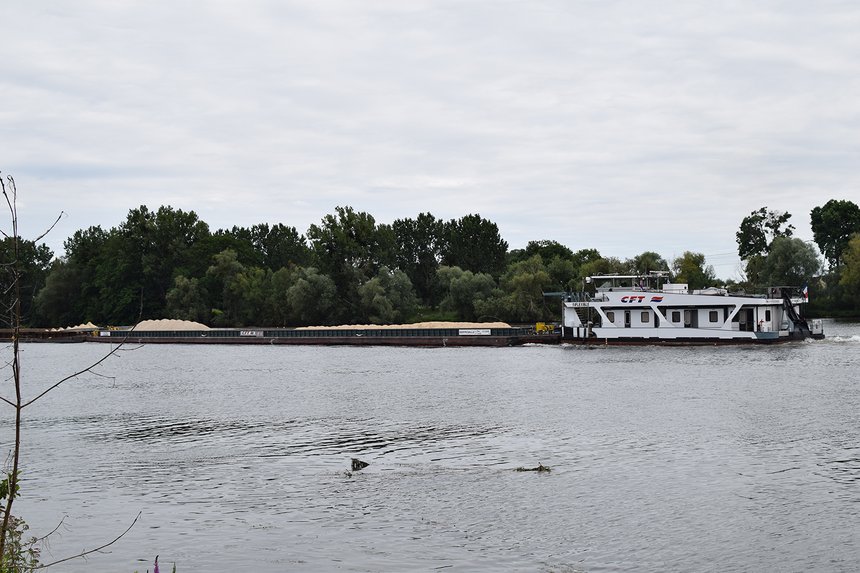 La pêche de la carpe en Seine