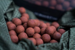 Pêche itinérante d'automne en fleuve urbain