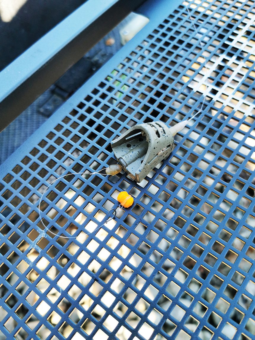 Pellet feeder Carpe