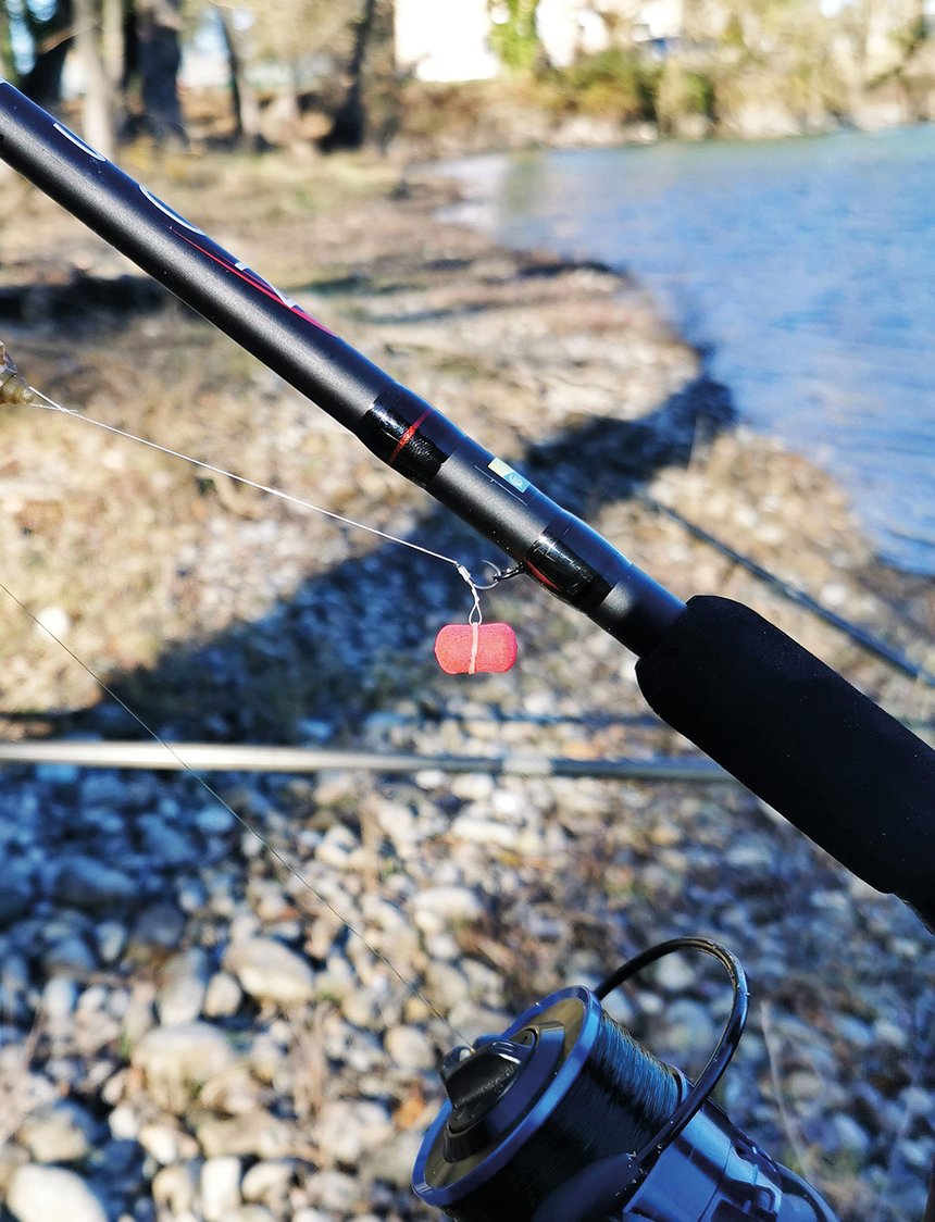 Peche carpe feeder dumbell