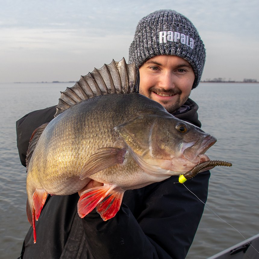 Le CrushCity Ned BLT de Rapala